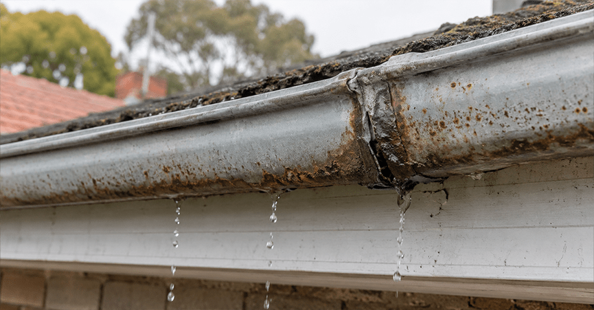 Rusty and corroded metal roof gutter dripping water from a degraded joint.